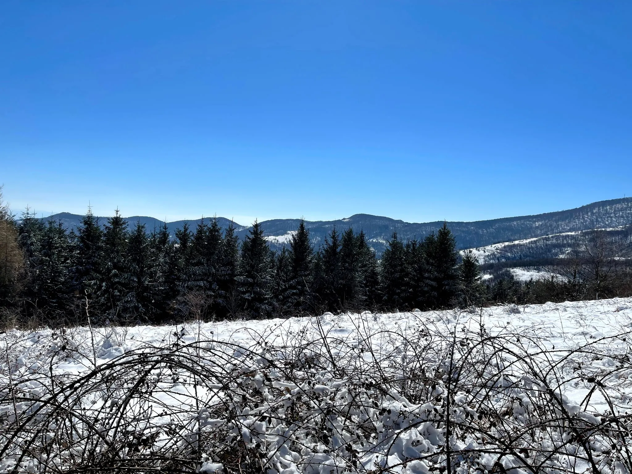 Upečatljiv proplanak na 3km.