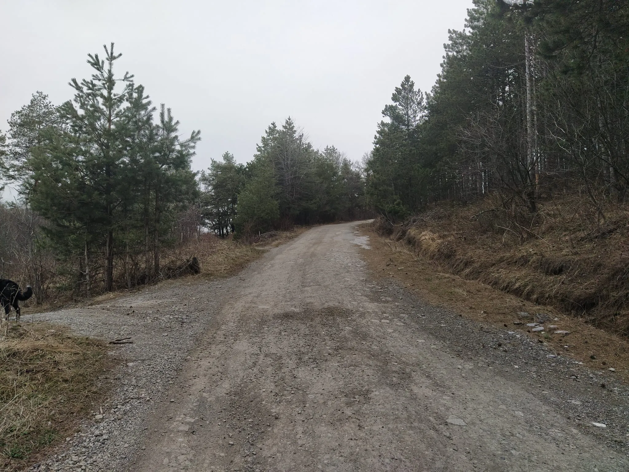 Početni deo rute omogućava prolaz kolima sve do Šumske kuće. Možete se parkirati i dalje u odnosu na ono što ruta ovde predlaže.