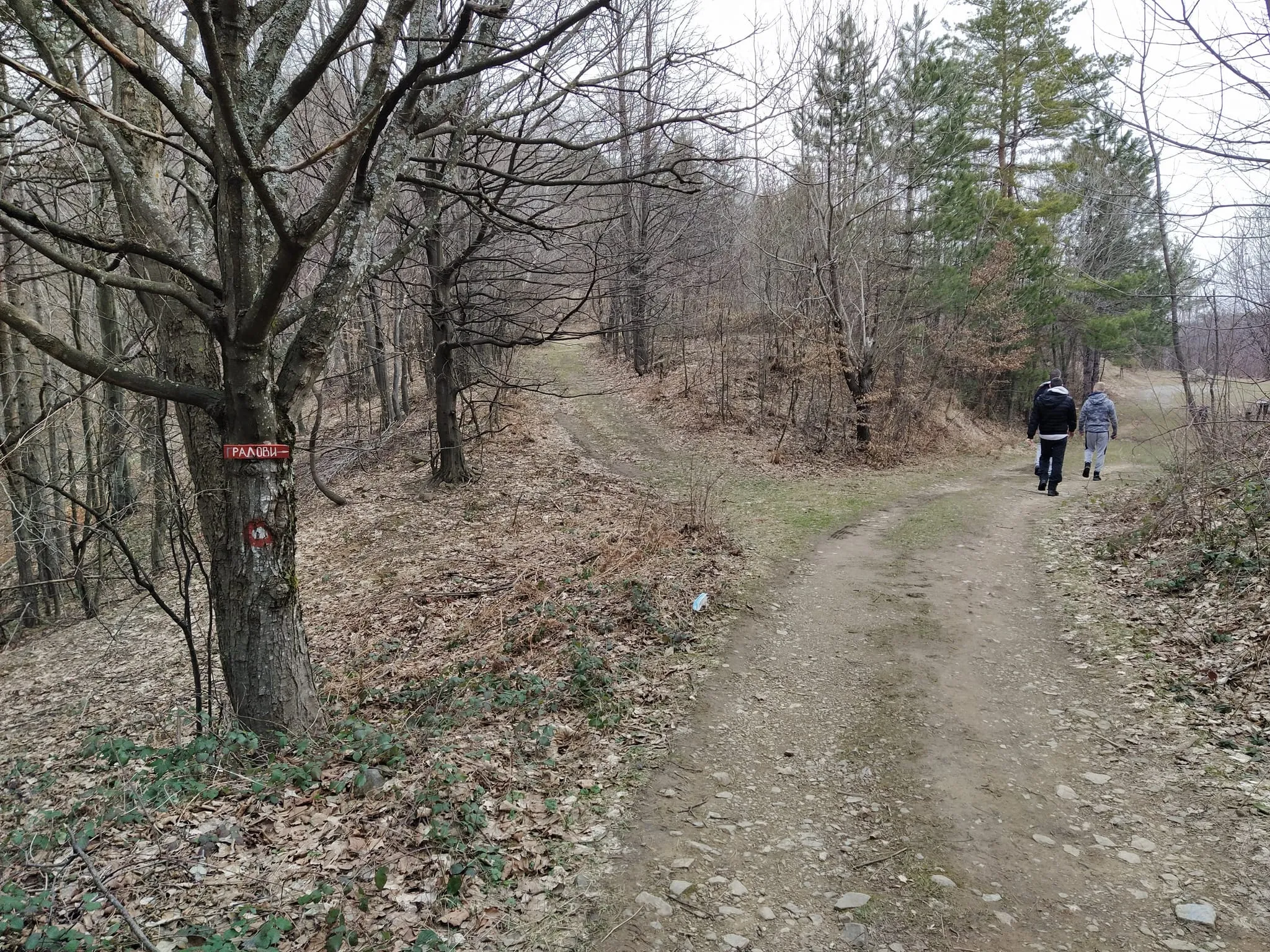 Nakon 600m od Šumske kuće dolazite na raskrsnicu koja vam omogućava da obidjete Misu.