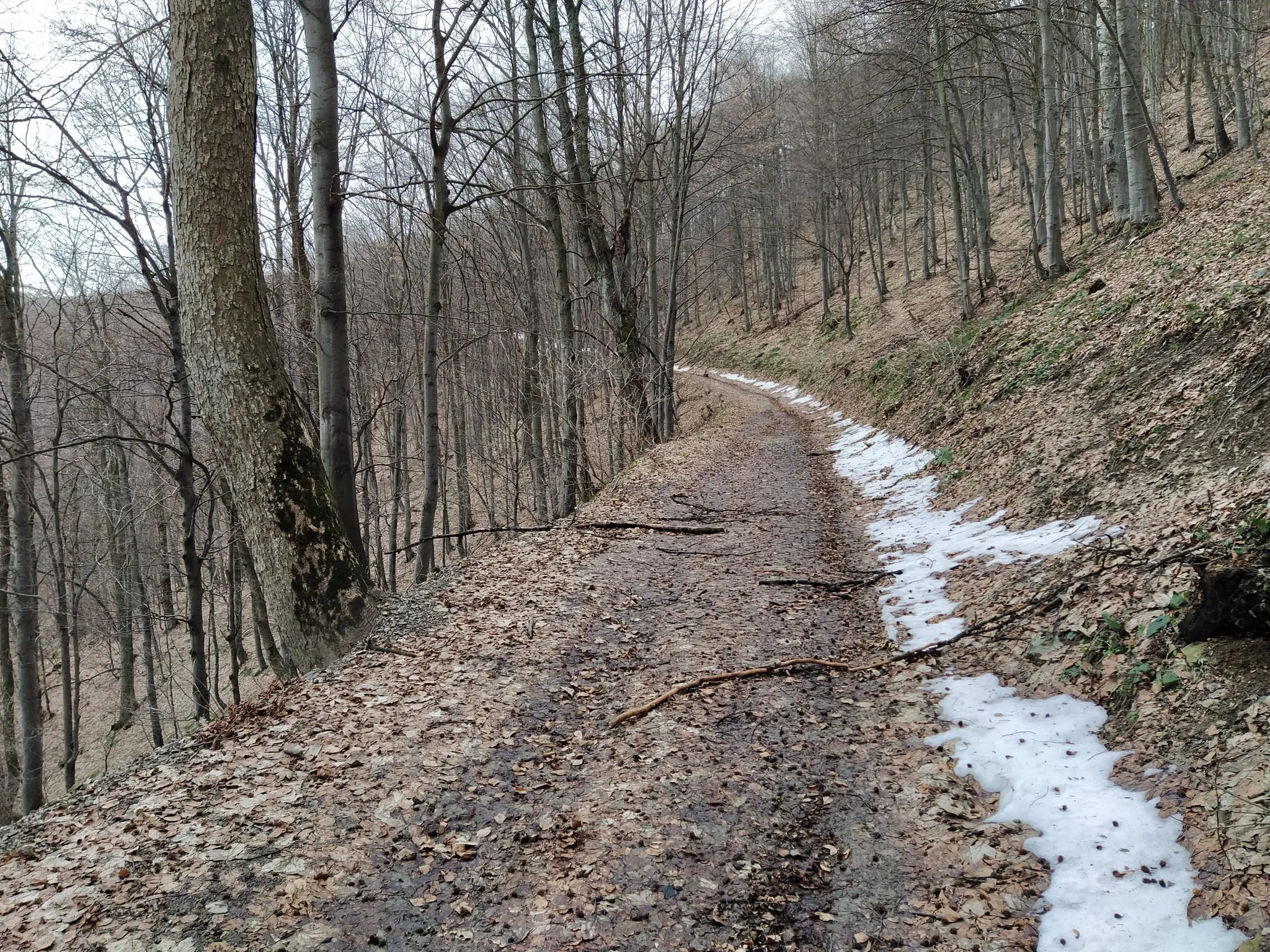 Izgled rute na putu do Srednjeg šturca.