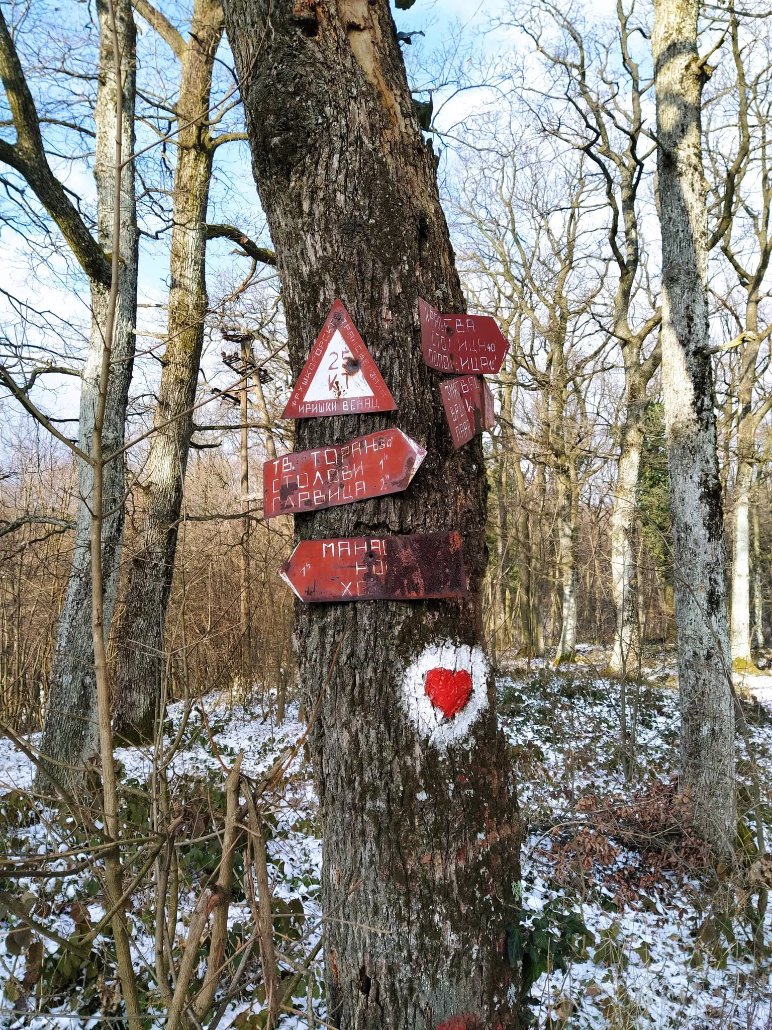 Srca dosta dobro obeležavaju puta, ali ima puno raznih puteva kojima se možete kretati.