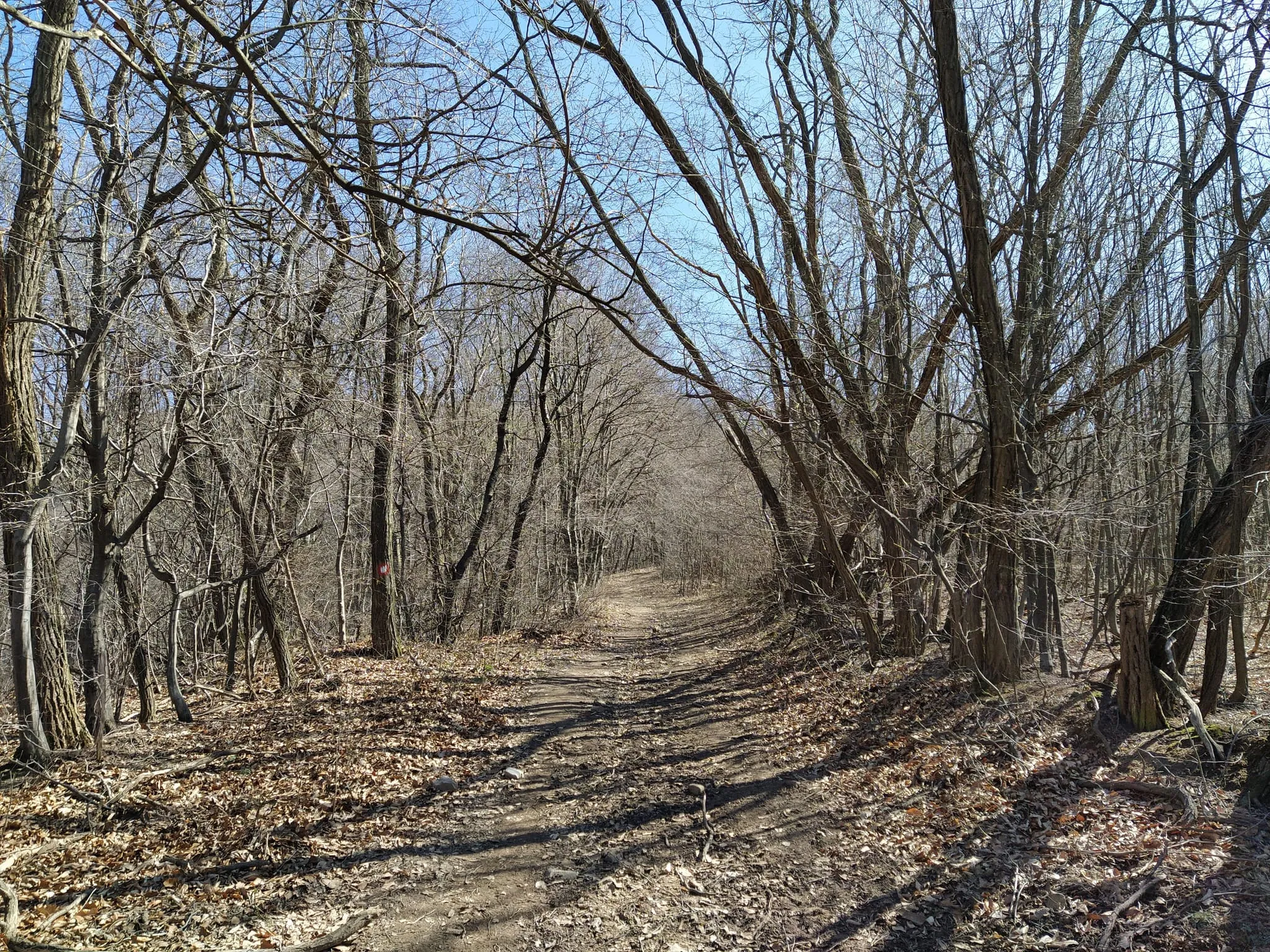 Na 1.1km kreće uspon.