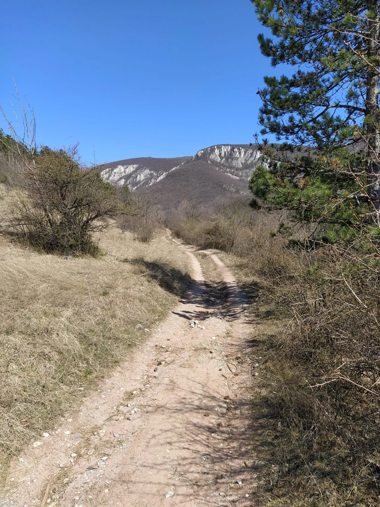 Kratak prvi deo prolazi kolskim putem do početka uspon.