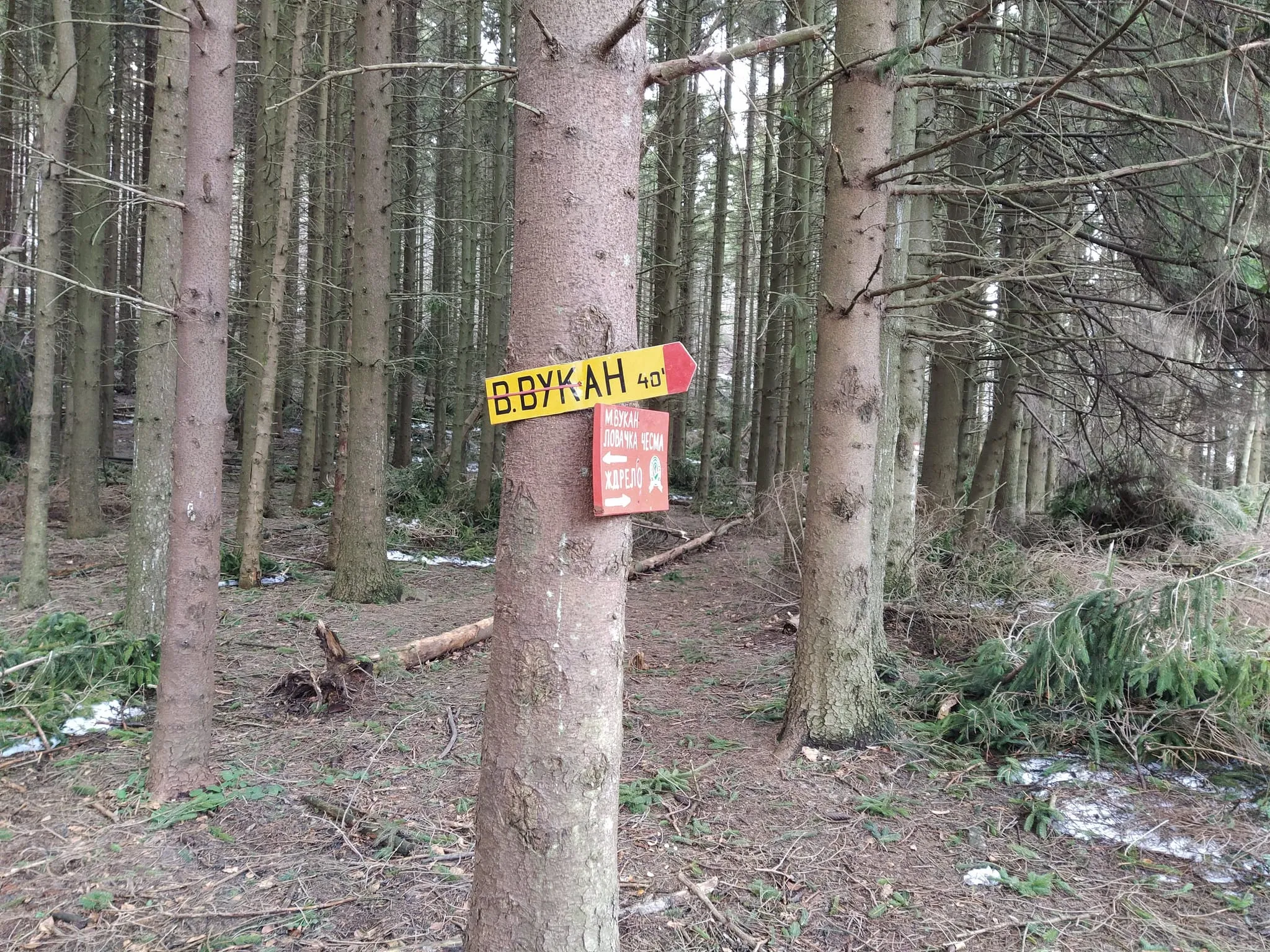 Skretanje za Veliki Vukan