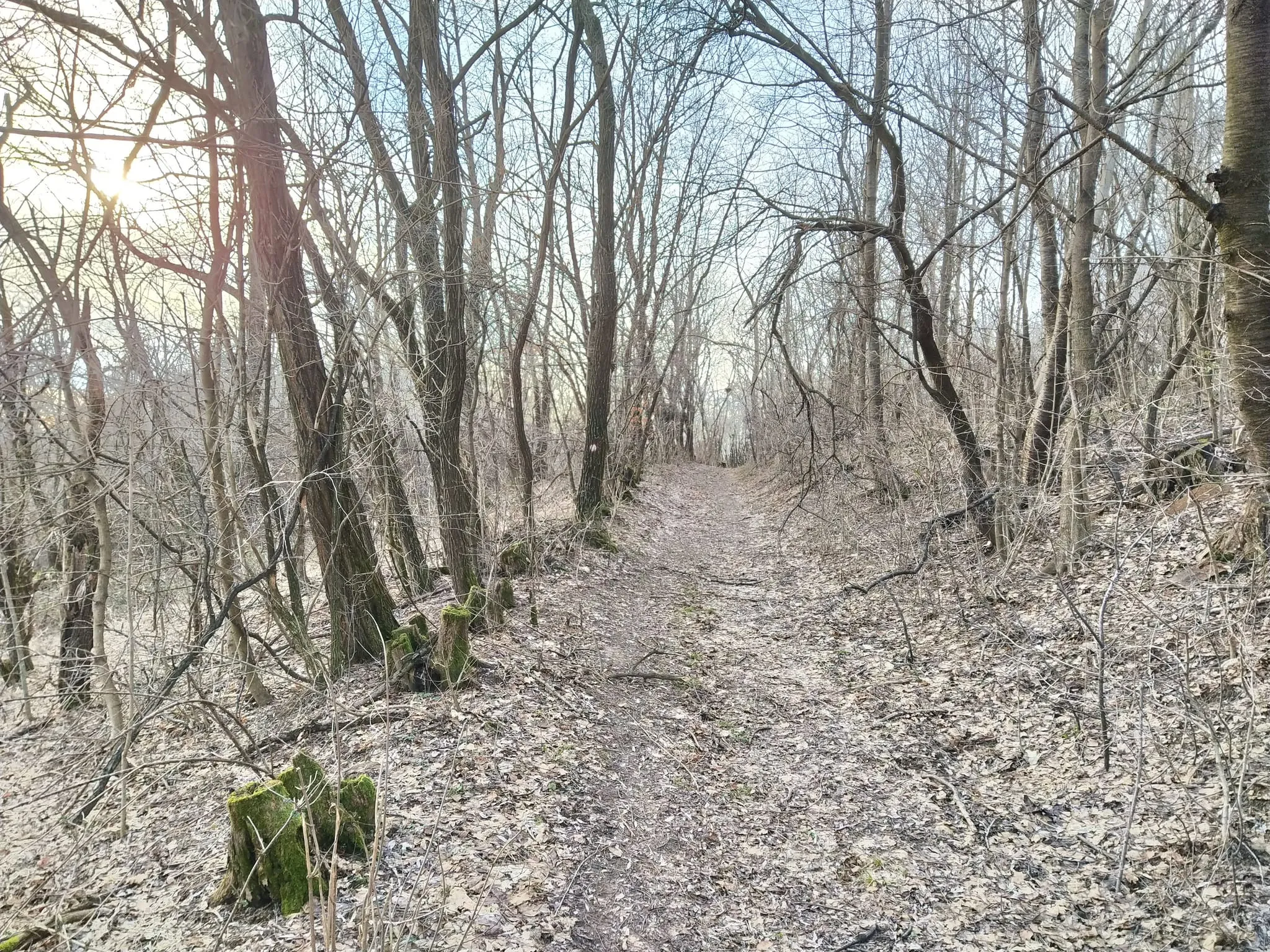 Druga četvrtina puta je brežuljasta ali laganija