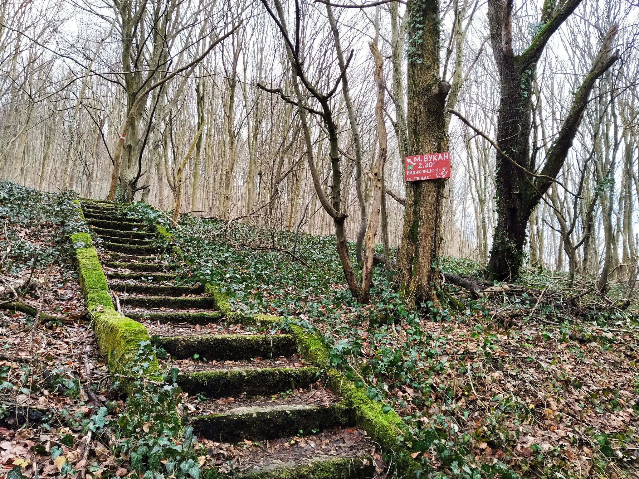 Homolje – Manastir Gornjak – Vukani