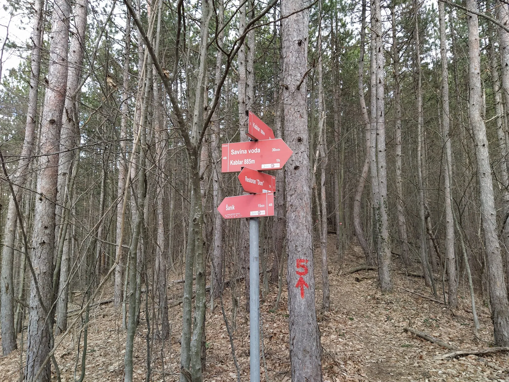 Staze su odlično obeležene i ova ruta prolazi kroz nekoliko staza i cilju duže šetnje srednje težine.