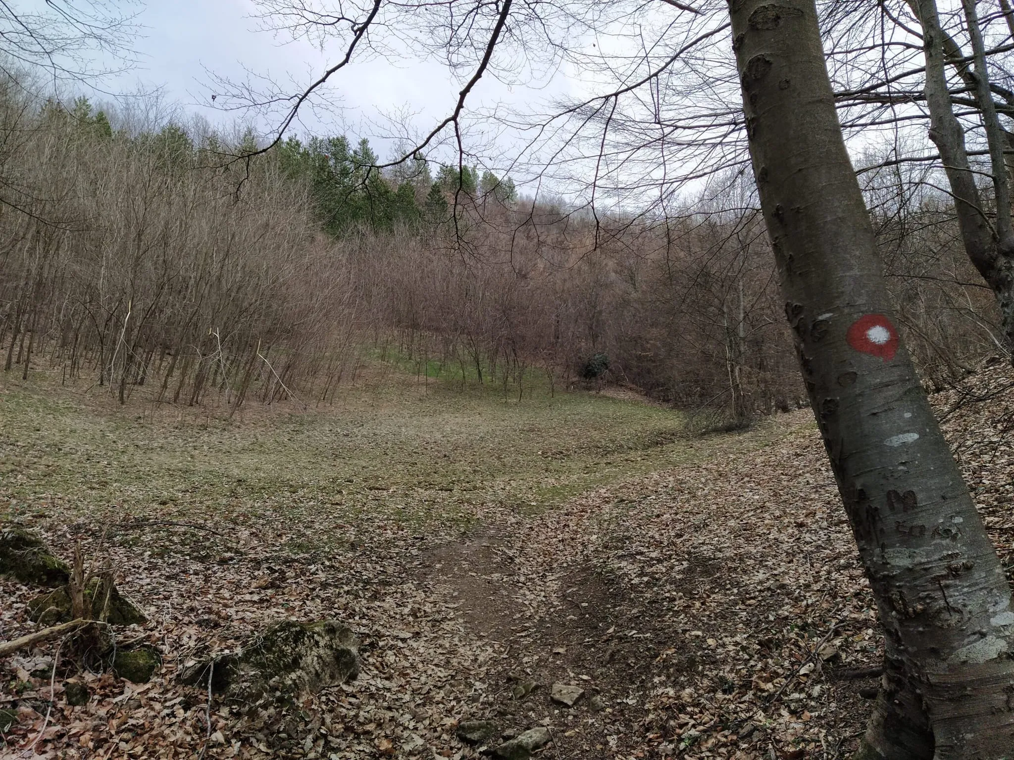 Većinskim delom se prolazi kroz šumu, ali ima i pašnjaka, visoravni, voćnjaka.