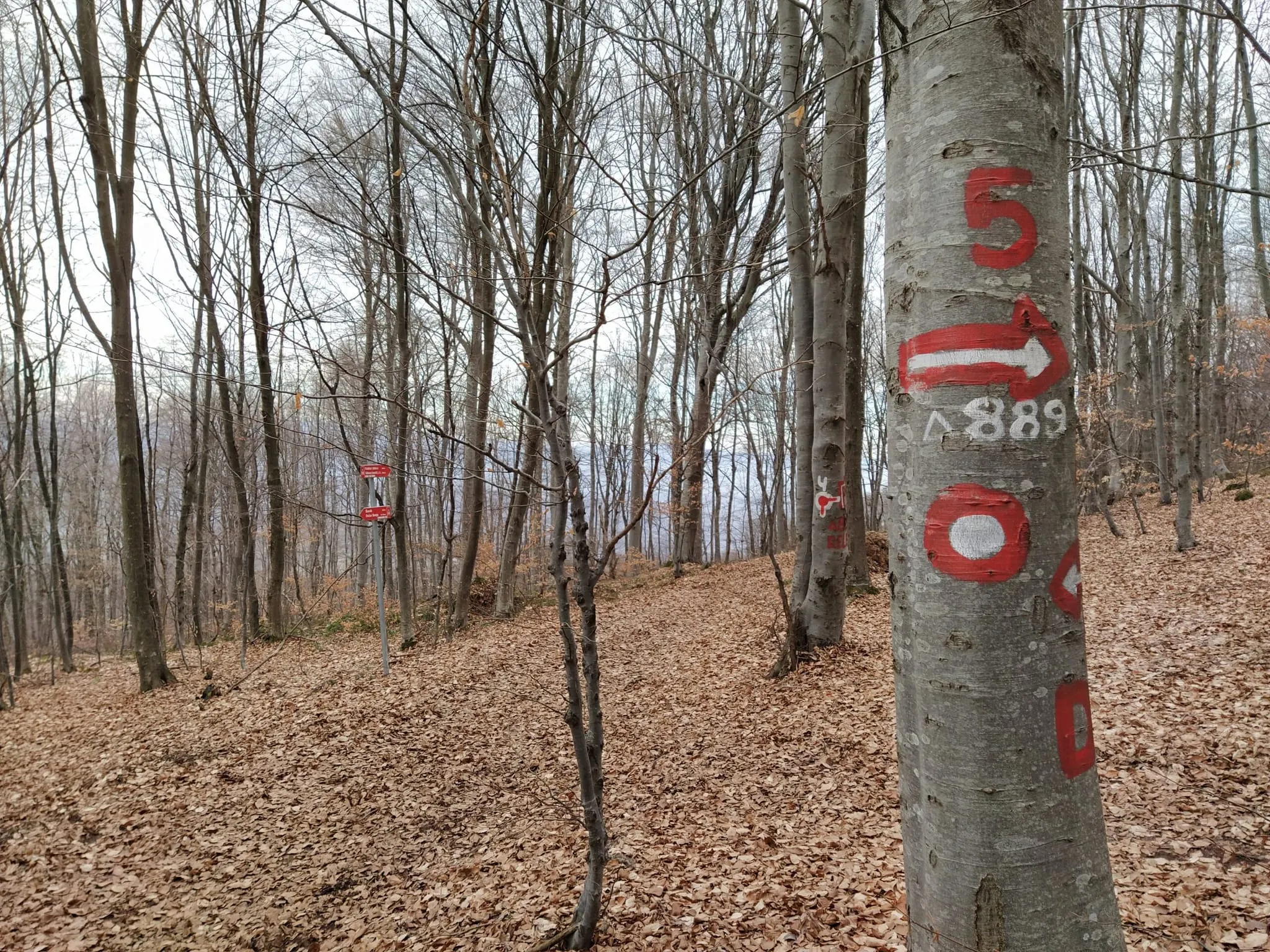Skretanje na Kablar 1.